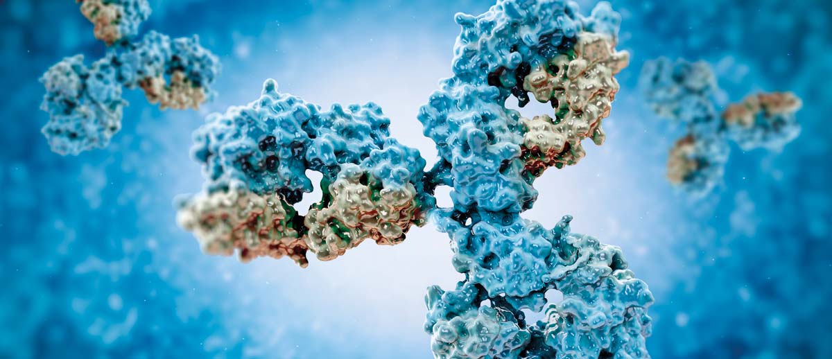 Mammalian cells & mAbs